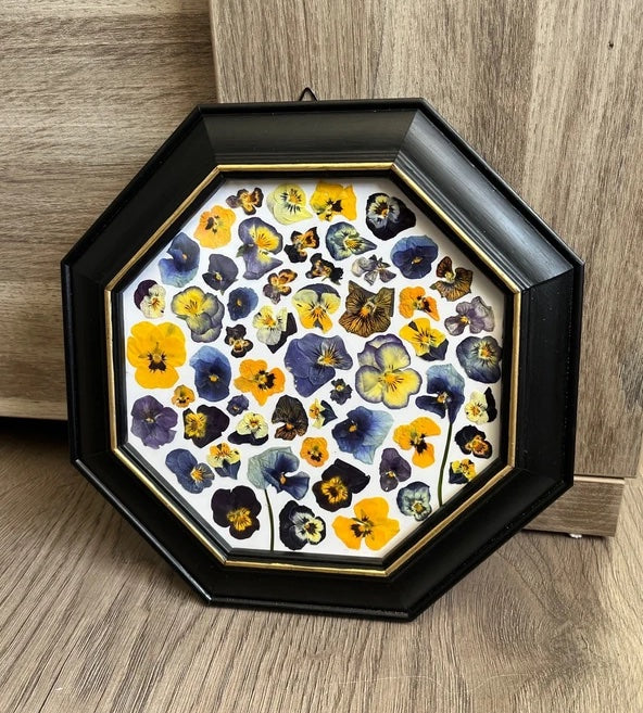 Herbier encadré hexagonal