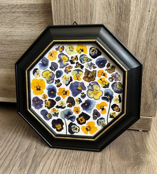 Herbier encadré hexagonal