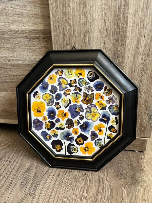 Herbier encadré hexagonal