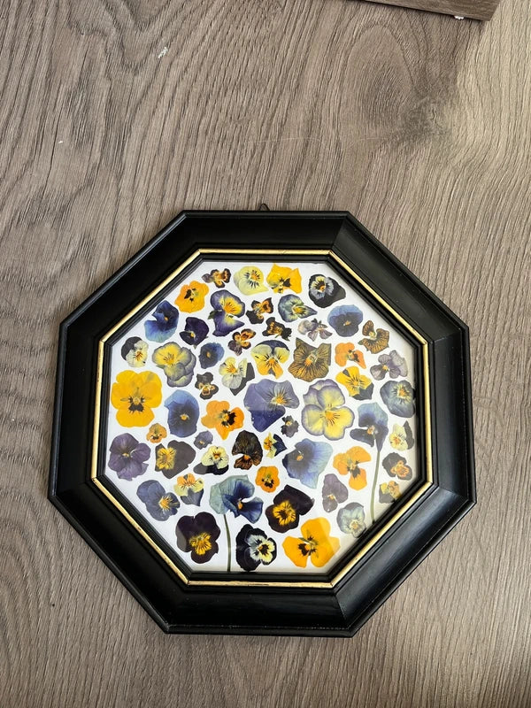 Herbier encadré hexagonal
