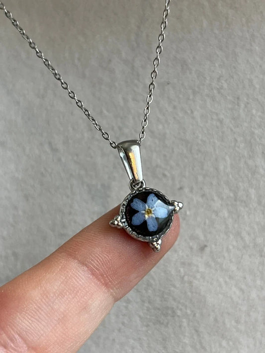 Collier petit médaillon étoilé, myosotis / Argenté