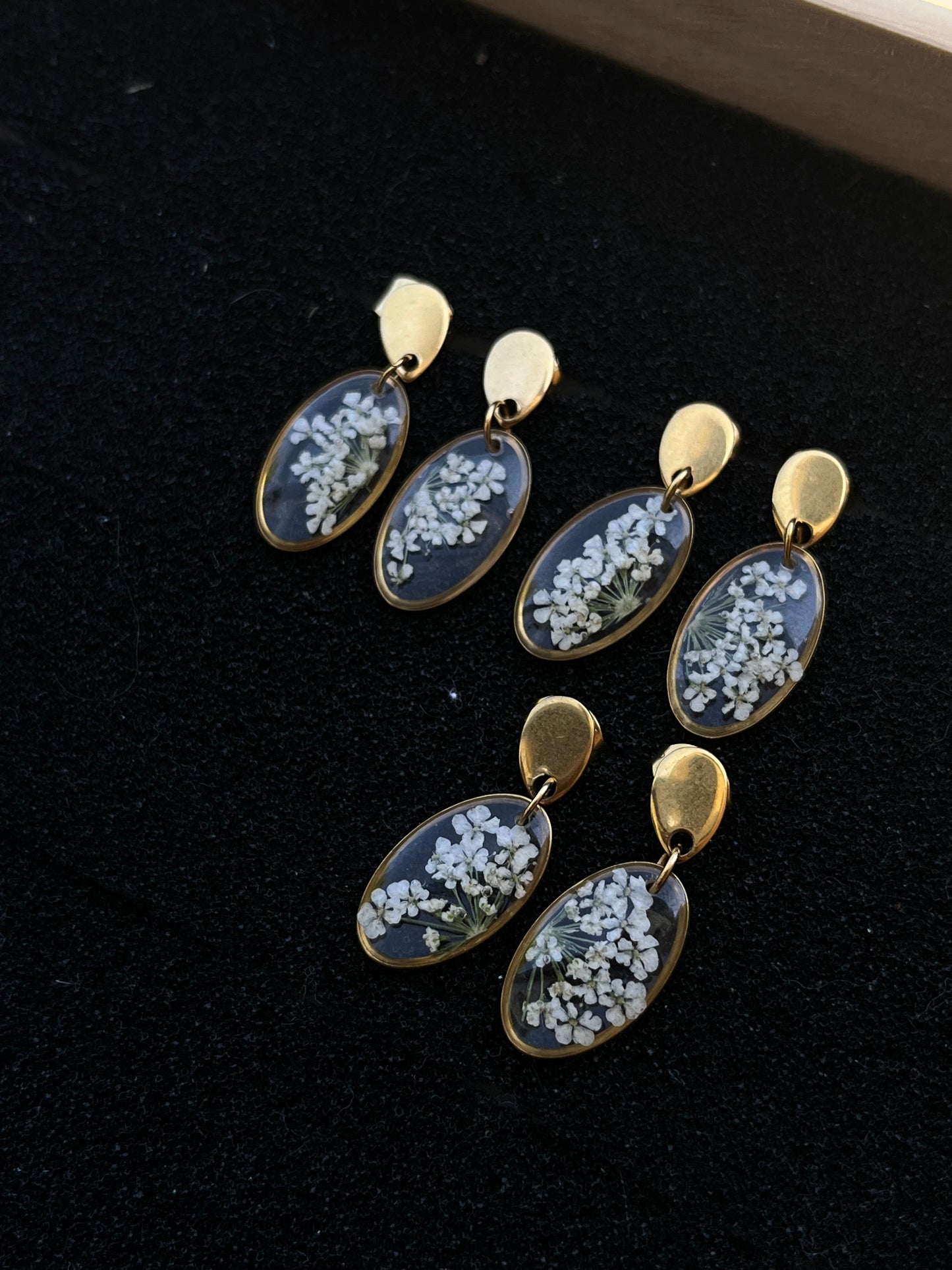 Boucles d'oreilles ovales fleur de carotte dorées